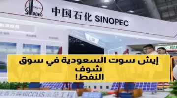 60 يوماً تفصل ملايين المقيمين عن انتهاء تأشيراتهم وحماية من الغرامات